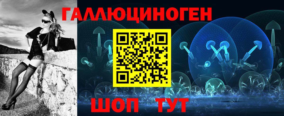 где найти   Галлюциногенные грибы Cubensis  Вход с VPN  Черногорск 
