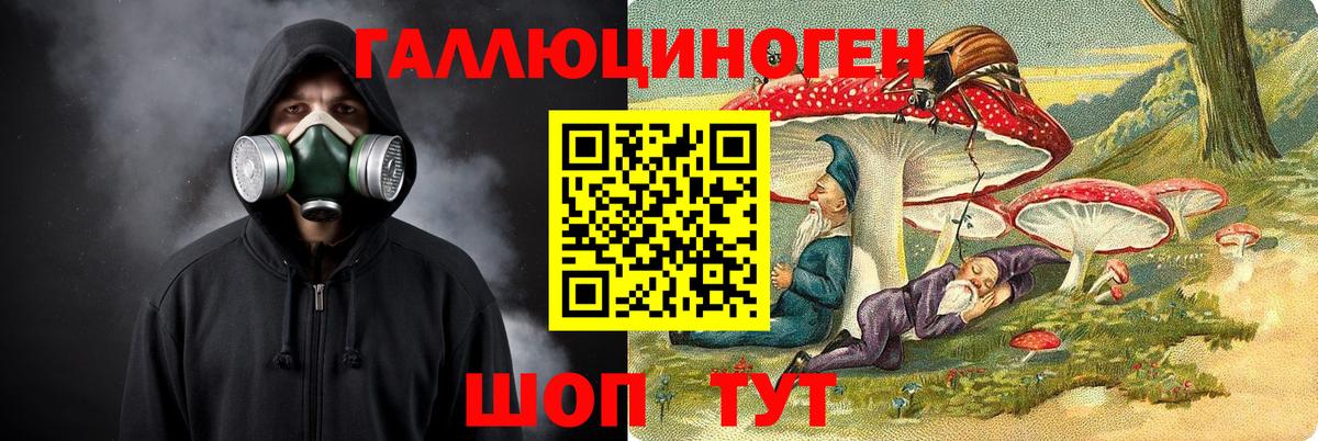 Псилоцибиновые грибы Psilocybine cubensis Черногорск